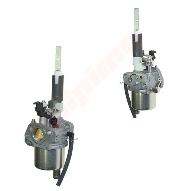 Carburateur passend op ARIENS ( 20001171 )