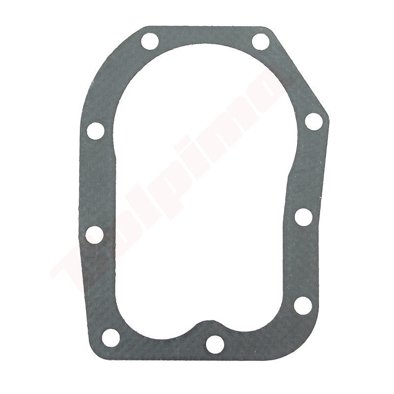 Pakkingset (10 stuks) passend op B&S ( 270662 , 272166 , 692231 )