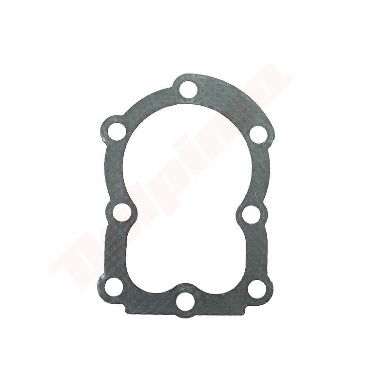 Pakkingset (10 stuks) passend op B&S ( 272167 , 27670 , 395000 )