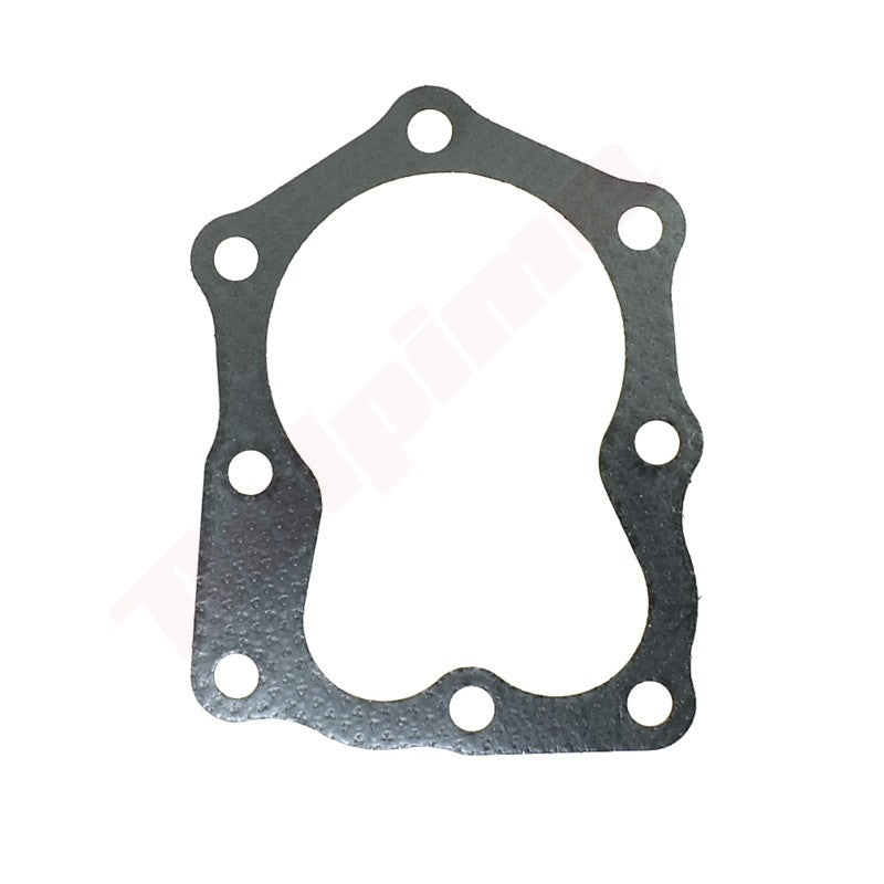 Pakkingset (10 stuks) passend op B&S ( 272200S )