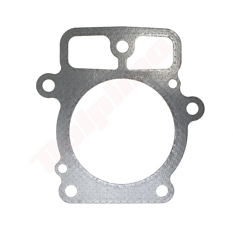 Pakkingset (10 stuks) passend op B&S ( 690962 , 693997 )