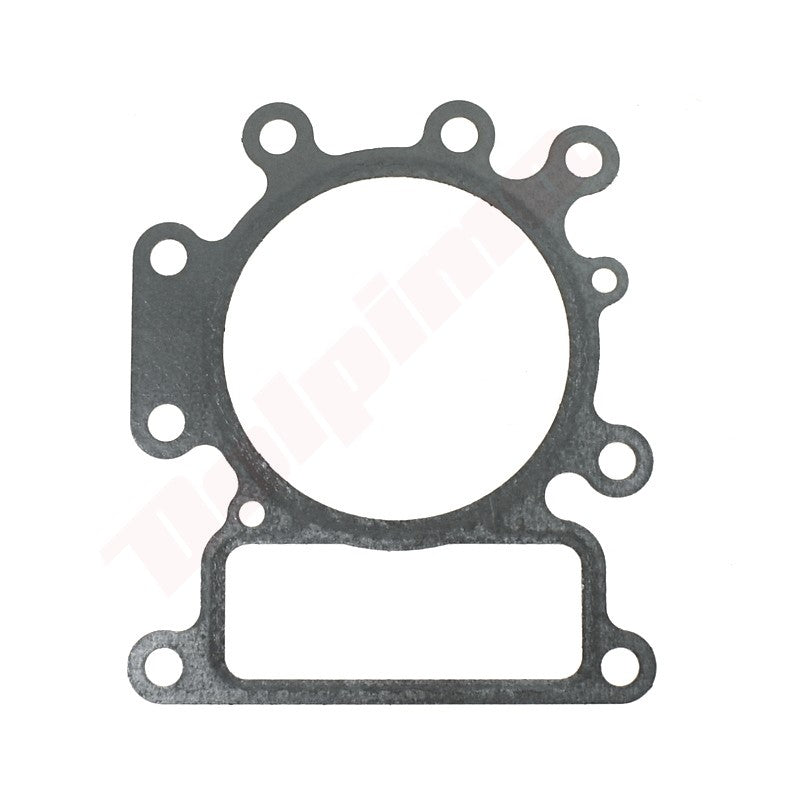 Pakkingset (10 stuks) passend op B&S ( 692410 , 699168 , 796584 )