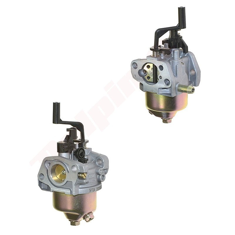 Carburateur passend op MTD ( 751-12444 , 951-12444 ) 5P70A