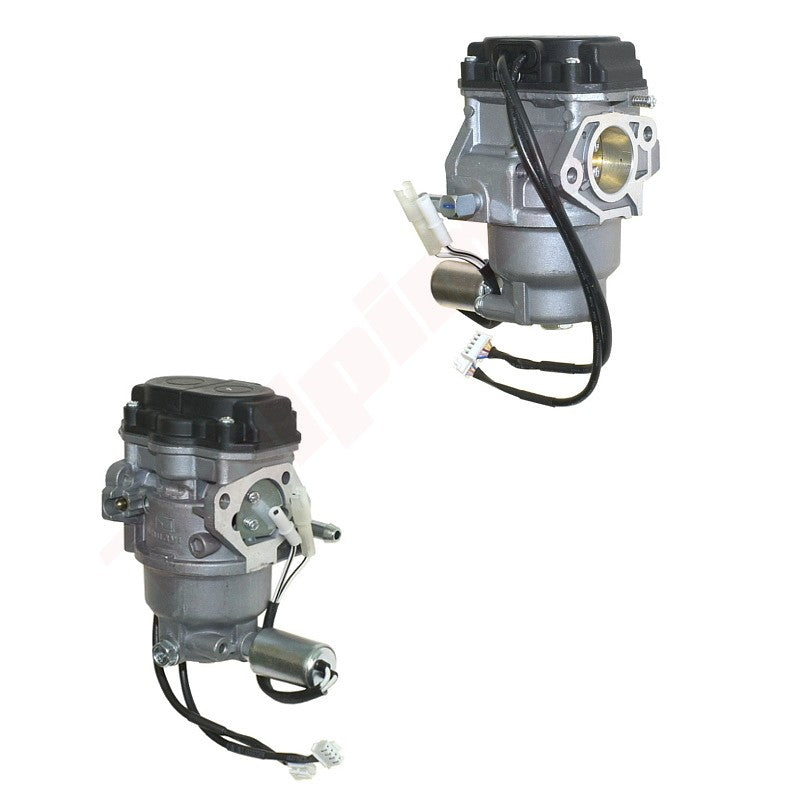 Carburateur passend op MTD ( 793-00170 , 993-00170 ) 4x90 EL