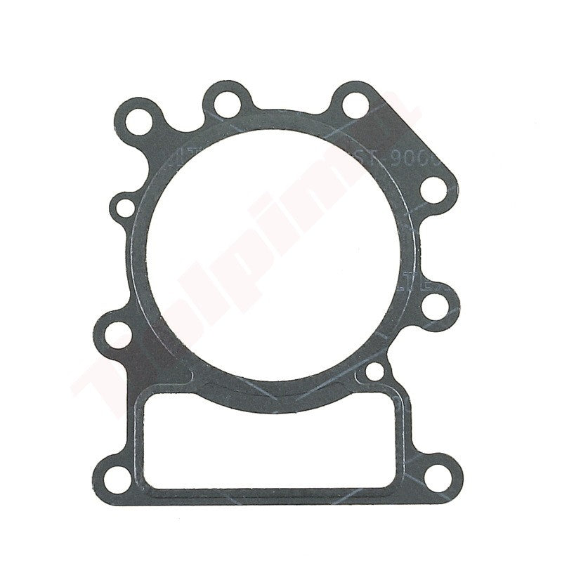 Pakkingset (10 stuks) passend op B&S ( 794114 )
