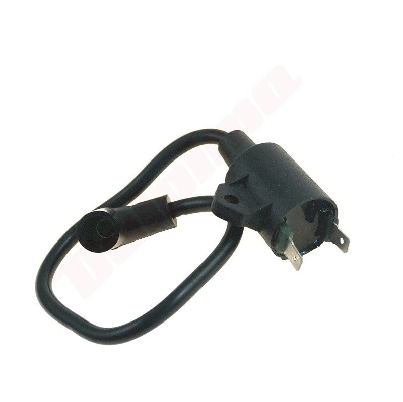 Bobines passend op YAMAHA ET950 ( 7CE-H2310-00 )