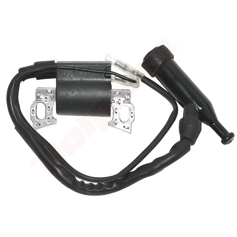 Bobines passend op Chinese motor 1P65F