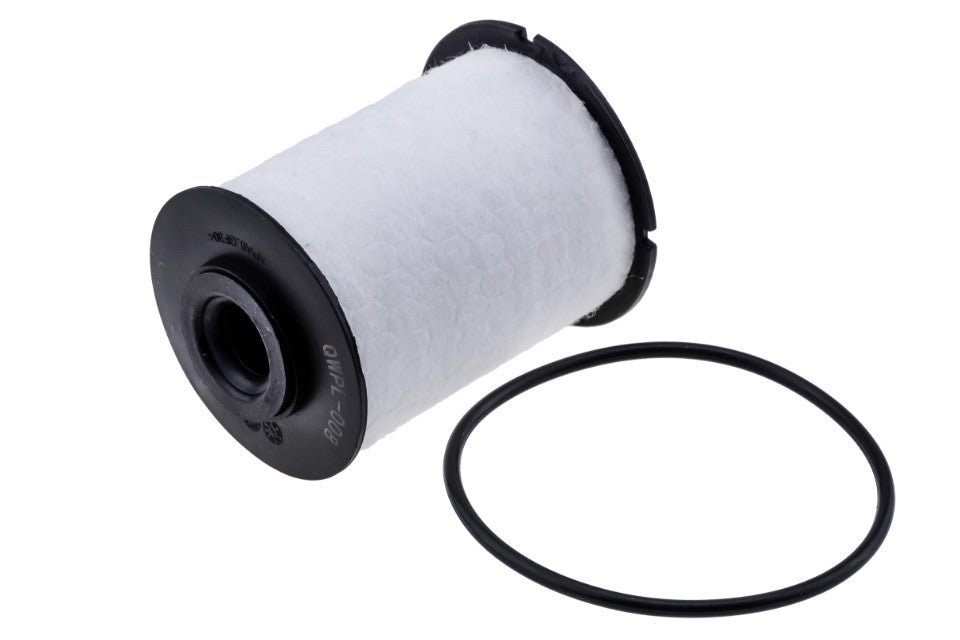Fuel Filter NTY: FFF-PL-008 OEM 818013