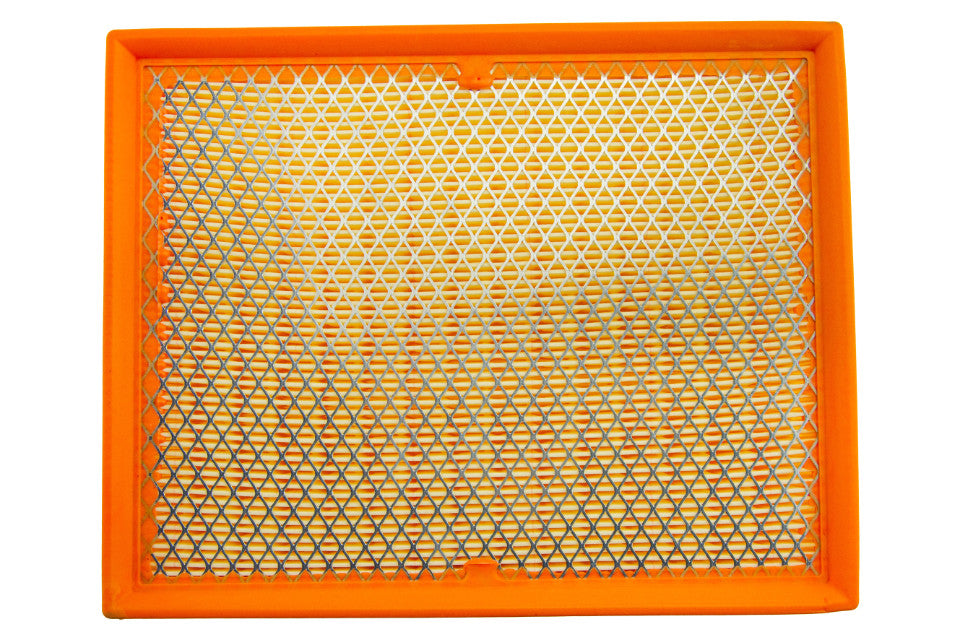 Filtre à air NTY : FAF-RE-079 OEM A0000900700