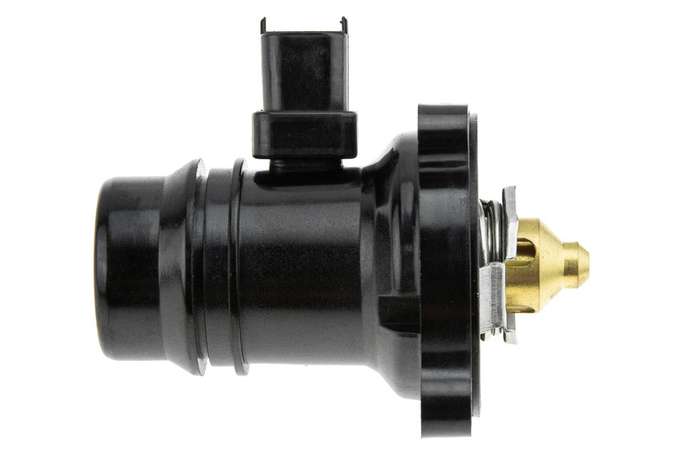 Thermostaat OEM 24109996