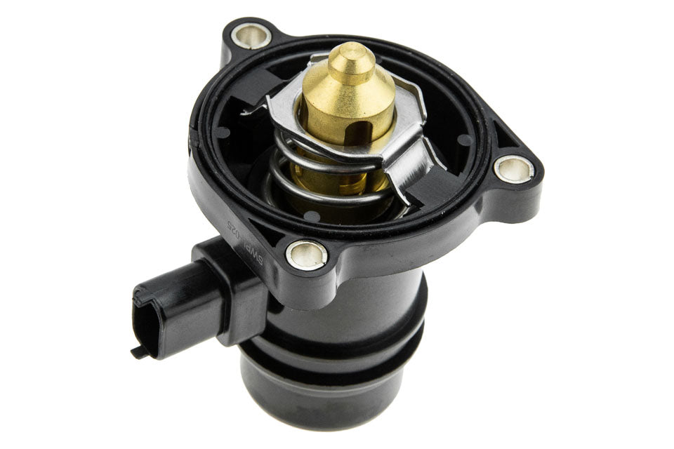Thermostaat OEM 24109996