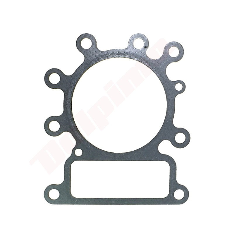 Pakkingset (10 stuks) passend op B&S ( 272614 , 273280 )