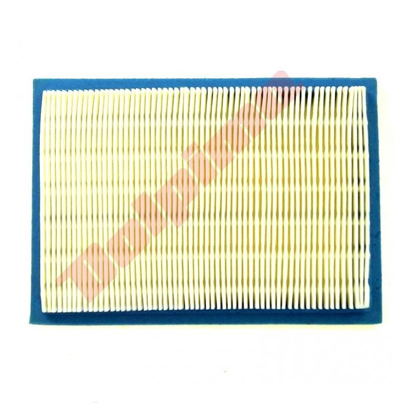 Luchtfilter passend op B&S ( 397795 , 395027 ) 165x114x19