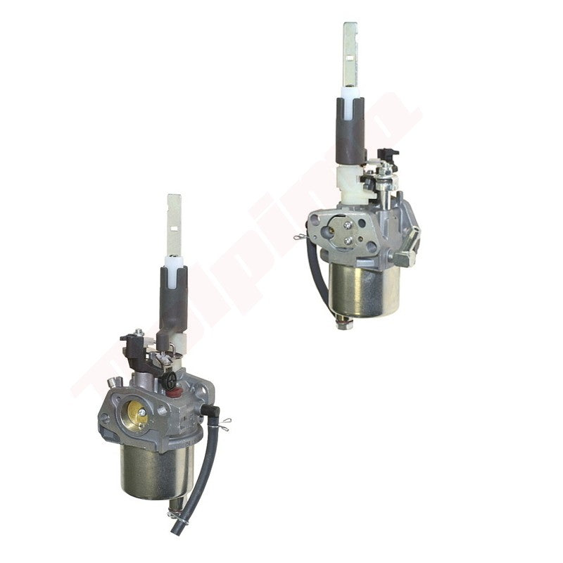Carburateur passend op LONCIN 254cc ( 53201 ) SNOW 2T
