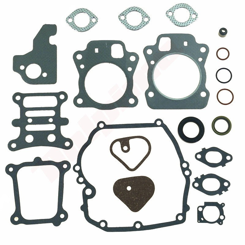 Pakkingset passend op B&S 20 ( 592173 , 796661 , 799495 )