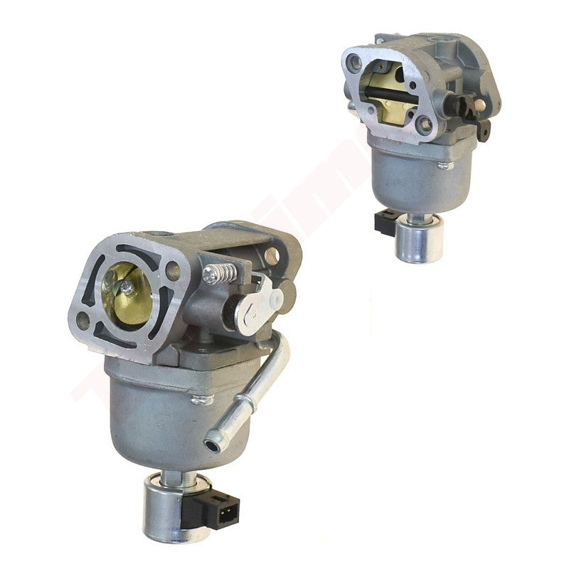 Carburateur passend op B&S ( 699807 , 699814 , 699815 )