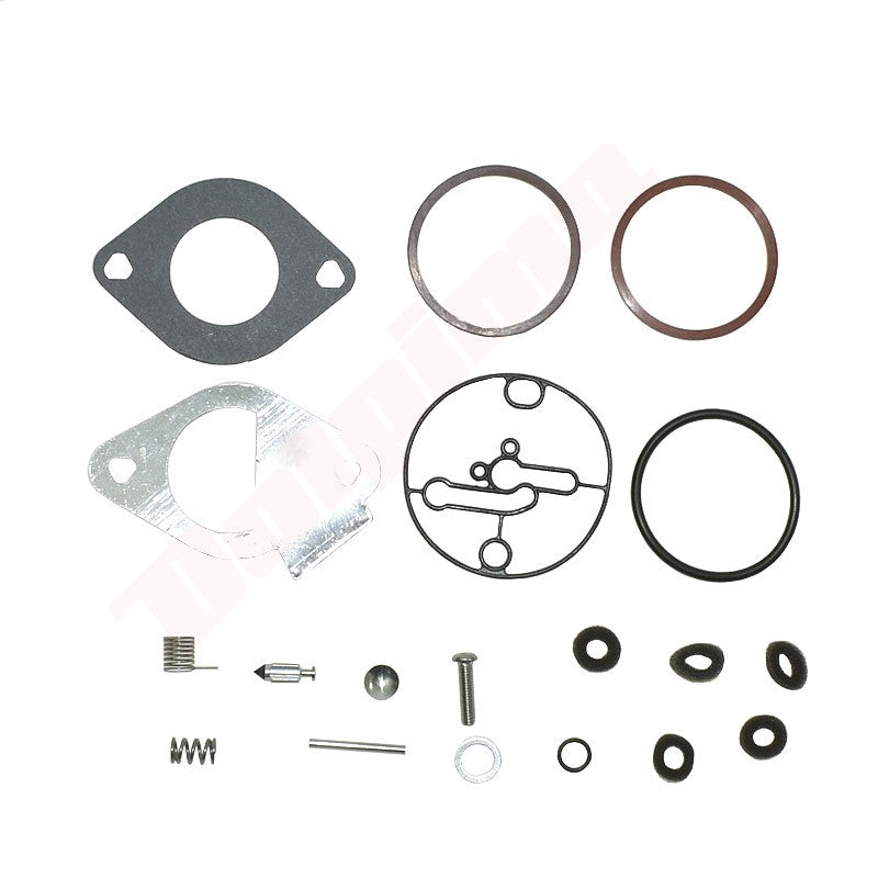 Reparatieset carburateur passend op B&S ( 796184 )