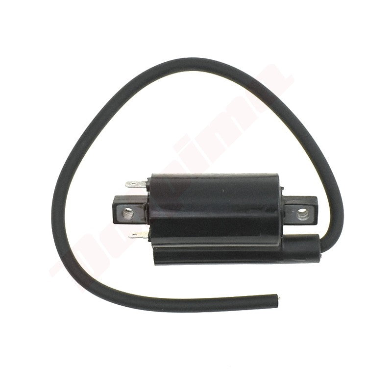 Bobine passend op B&S ( 820037 )