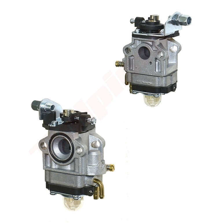 Carburateur passend op ECHO PPT260 ( A021000700 )