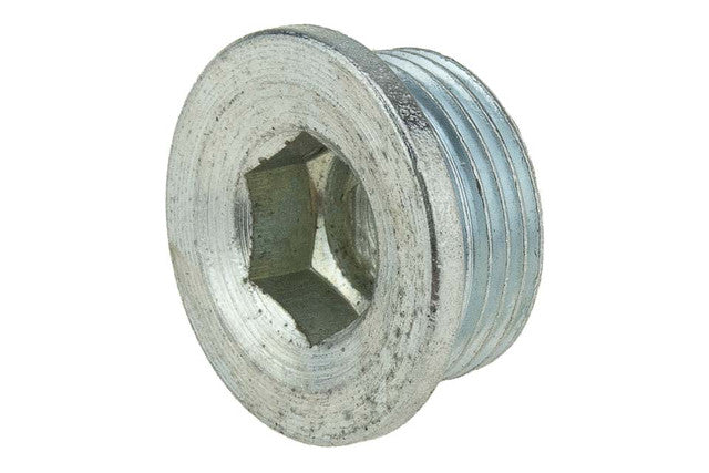 Olie aftapplug 