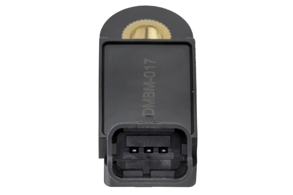 Map sensor