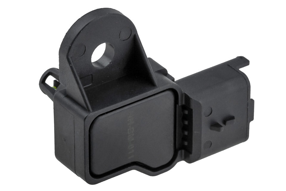 Map sensor