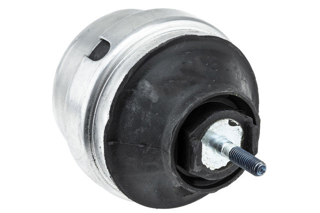Aslichaam, motorsteunlager