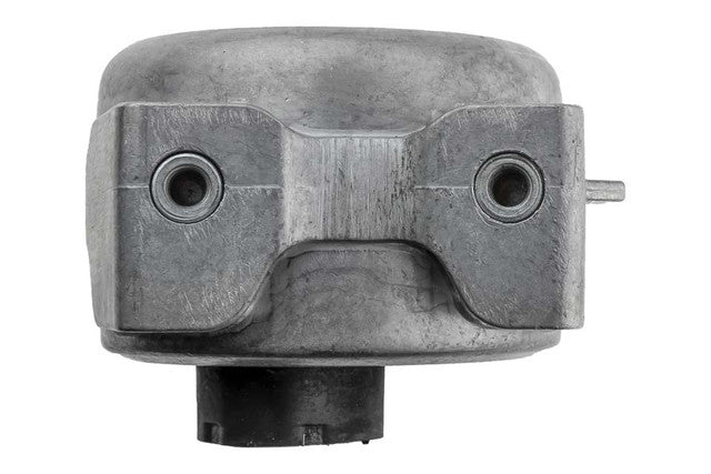 Aslichaam, motorsteunlager