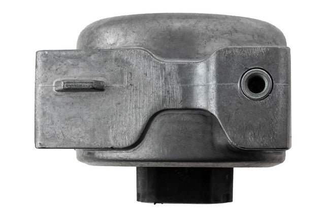 Aslichaam, motorsteunlager
