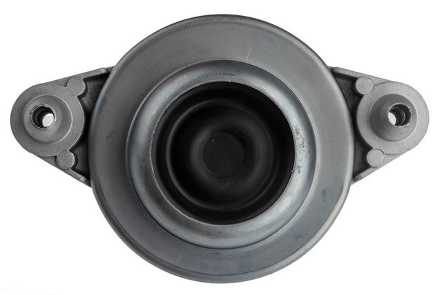 Aslichaam, motorsteunlager