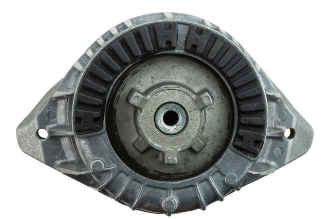 Aslichaam, motorsteunlager