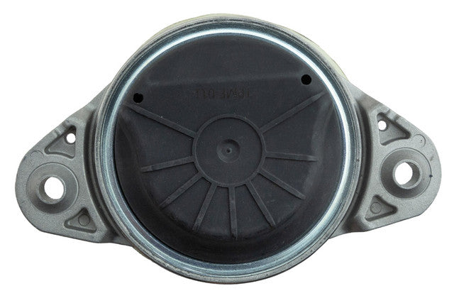 Aslichaam, motorsteunlager