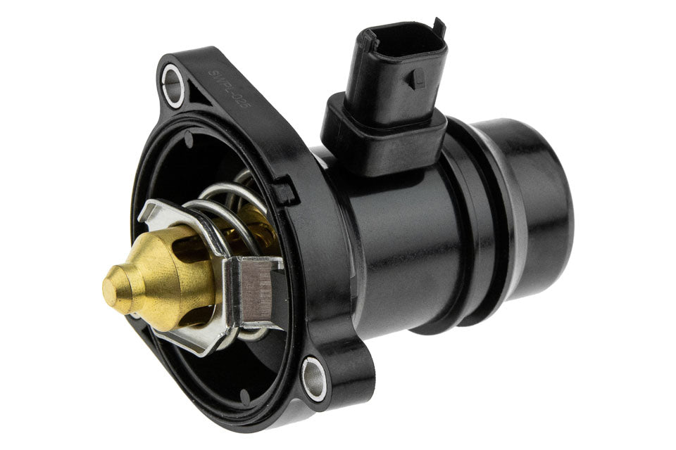 Thermostaat OEM 24109996