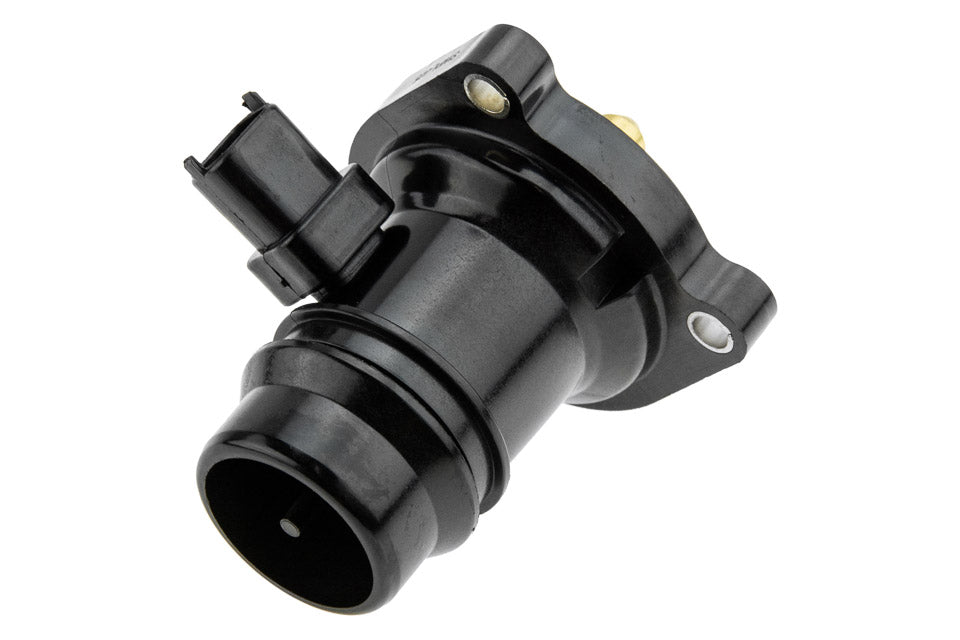 Thermostaat OEM 24109996