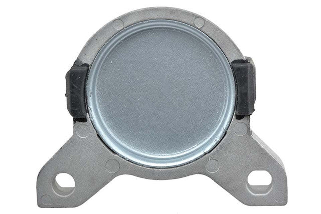 Aslichaam, motorsteunlager