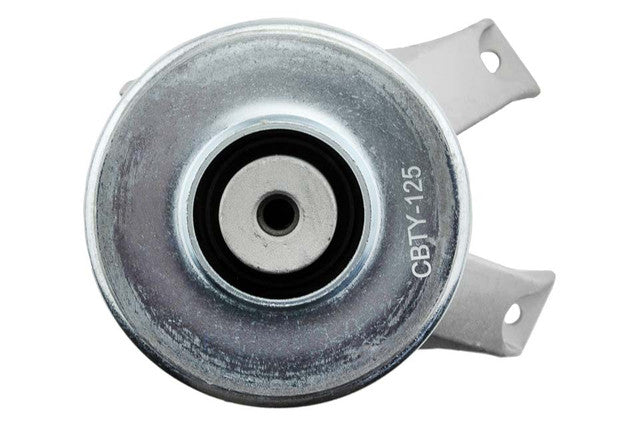Aslichaam, motorsteunlager